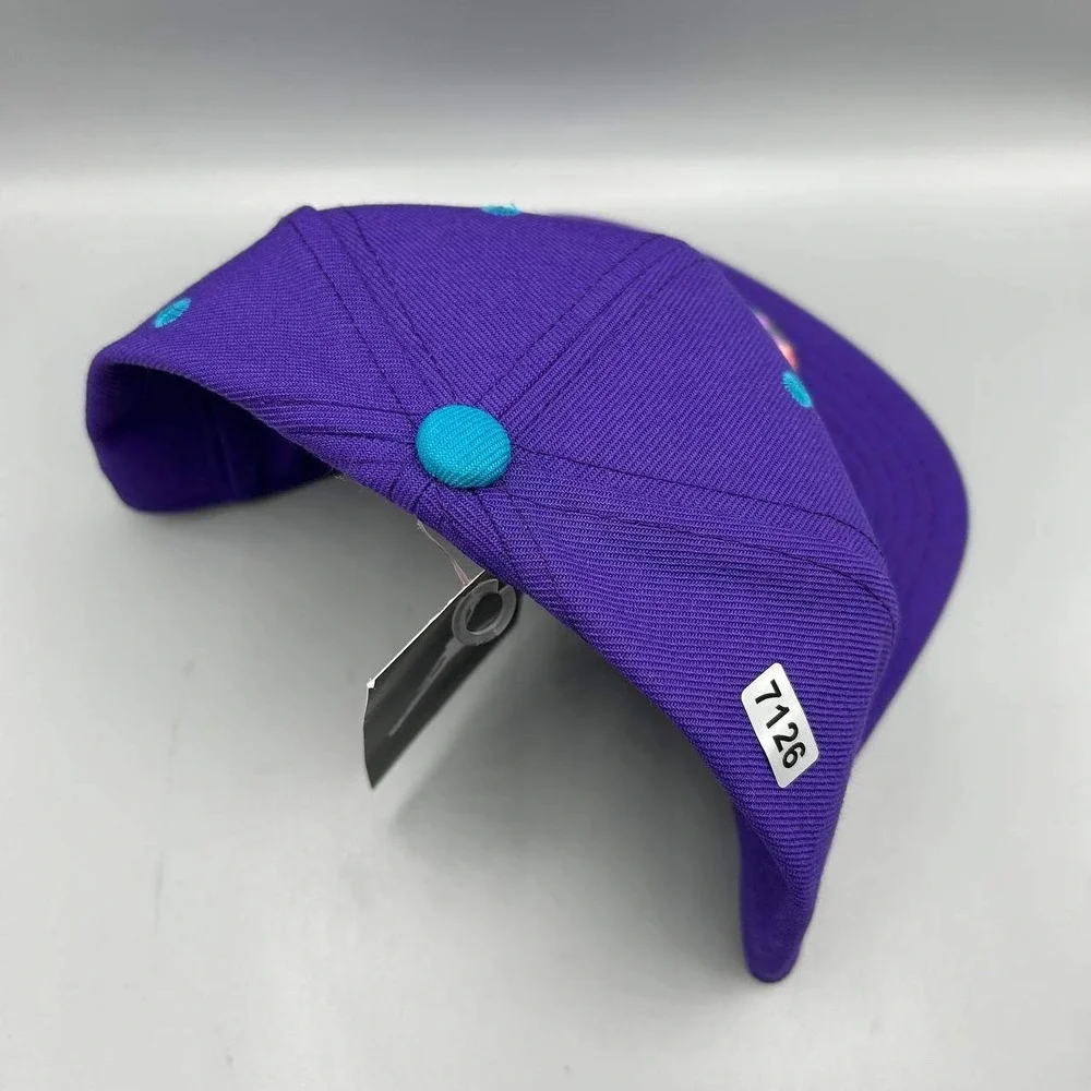 Charlotte Hornets x Air Jordan Hat Men Purple Blue Jumpman Snap Back Cap New
